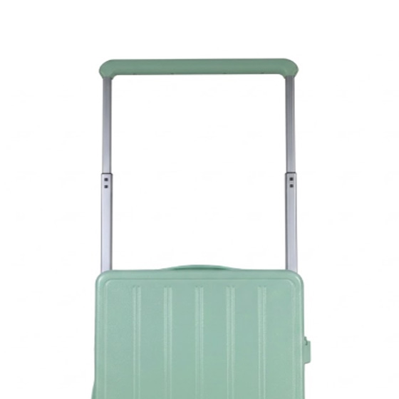 Telescopic Handle